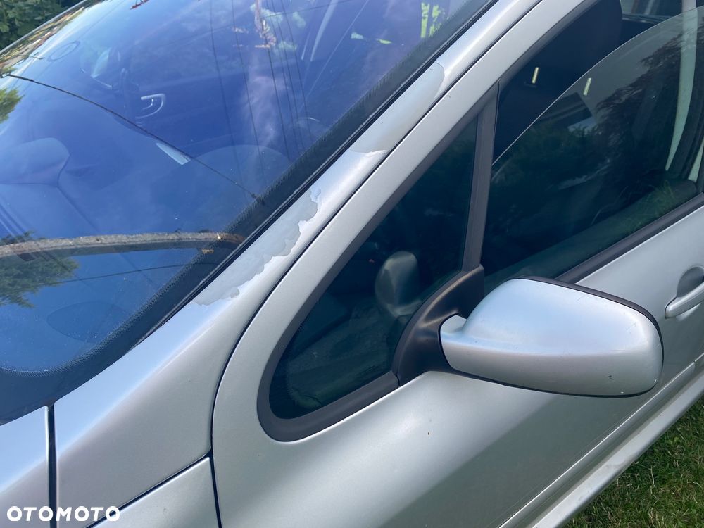 Peugeot 307 1.6 - 9