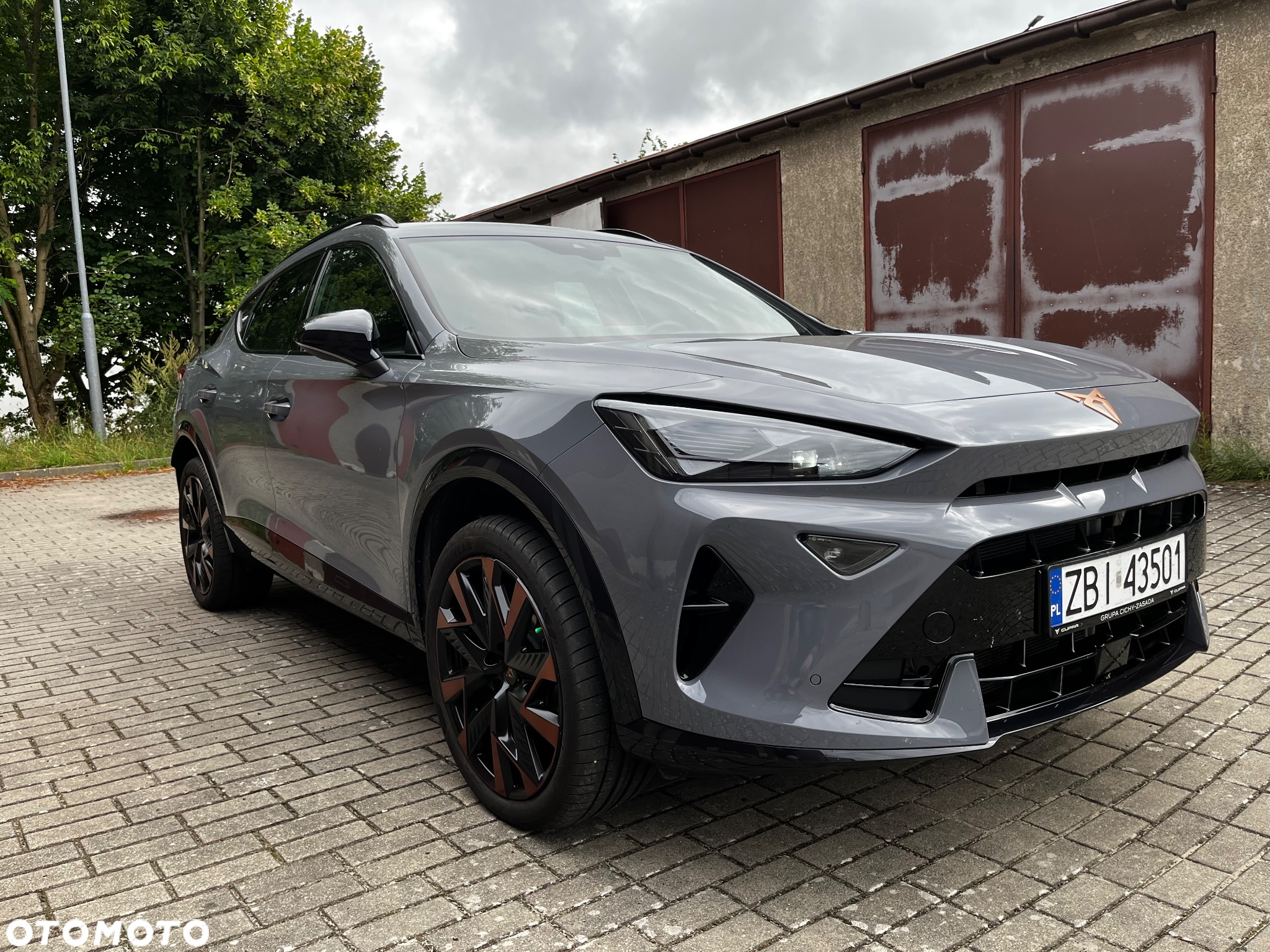 Cupra Formentor 2.0 TDI DSG - 6