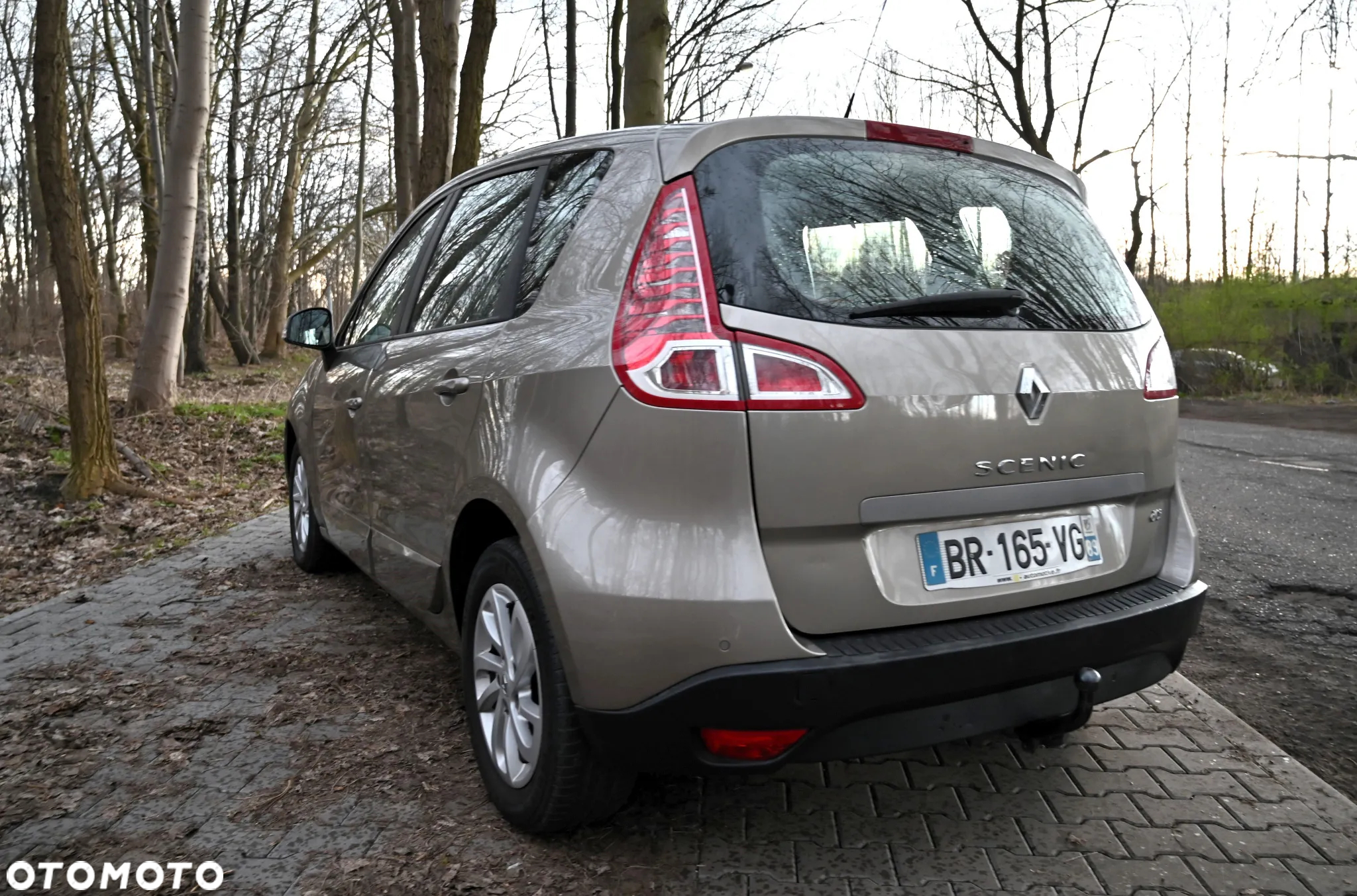 Renault Scenic - 12