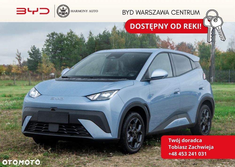 BYD Dolphin Surf - 1