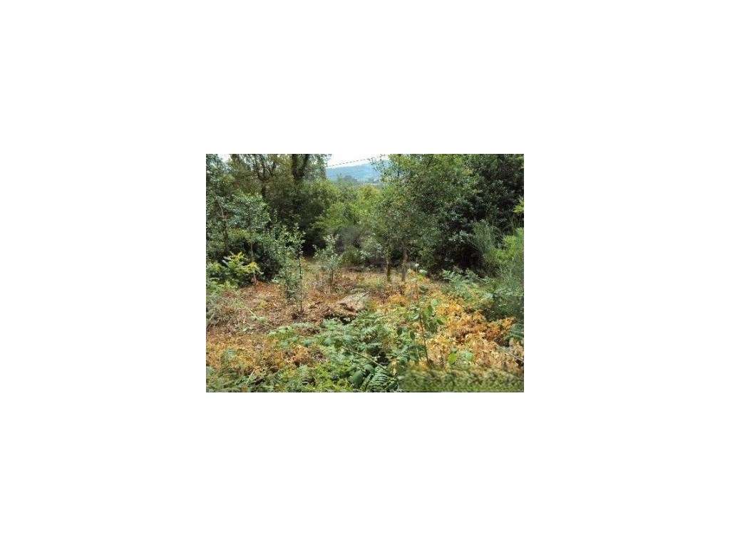 Terreno de construção em Paredes de Coura - Grande imagem: 5/5