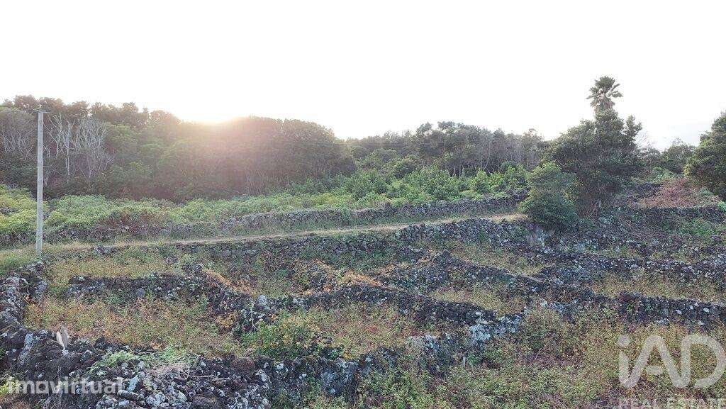 Terreno Agrícola em Piedade - Grande imagem: 4/16