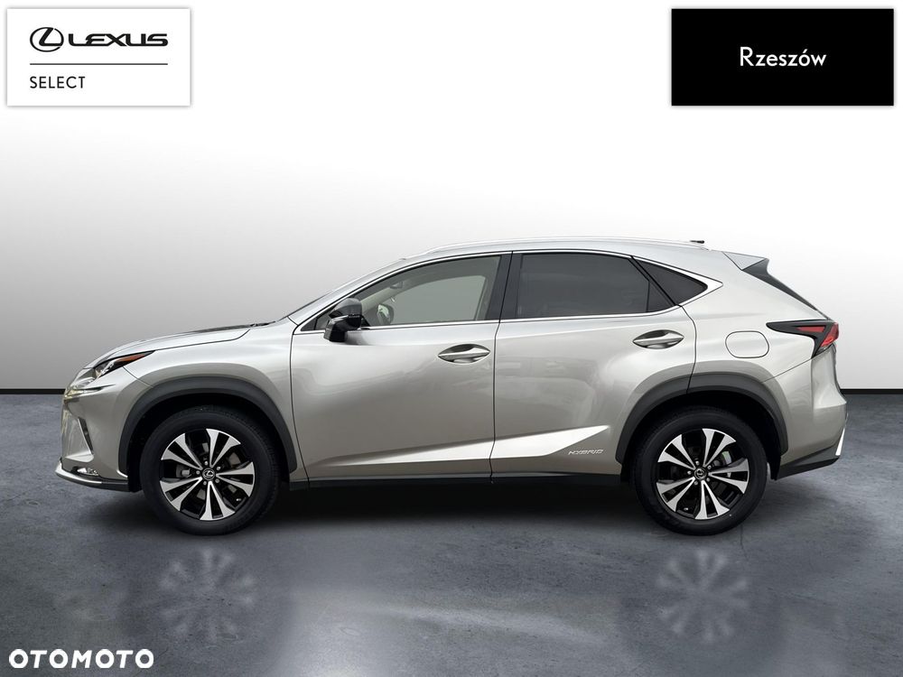 Lexus NX 300h F Impression AWD - 2