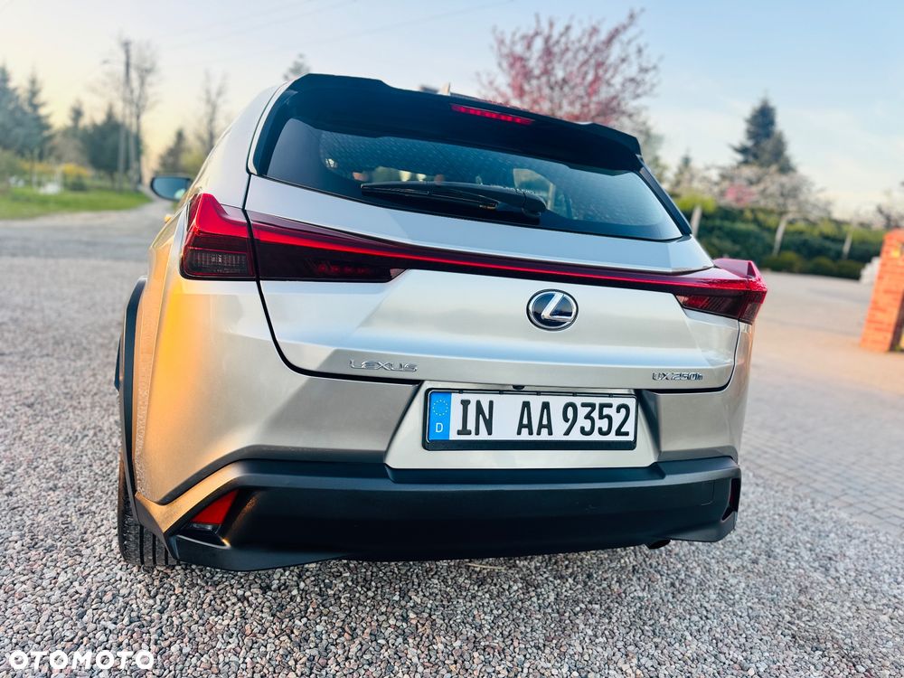 Lexus UX 200 GPF Business 2WD - 39