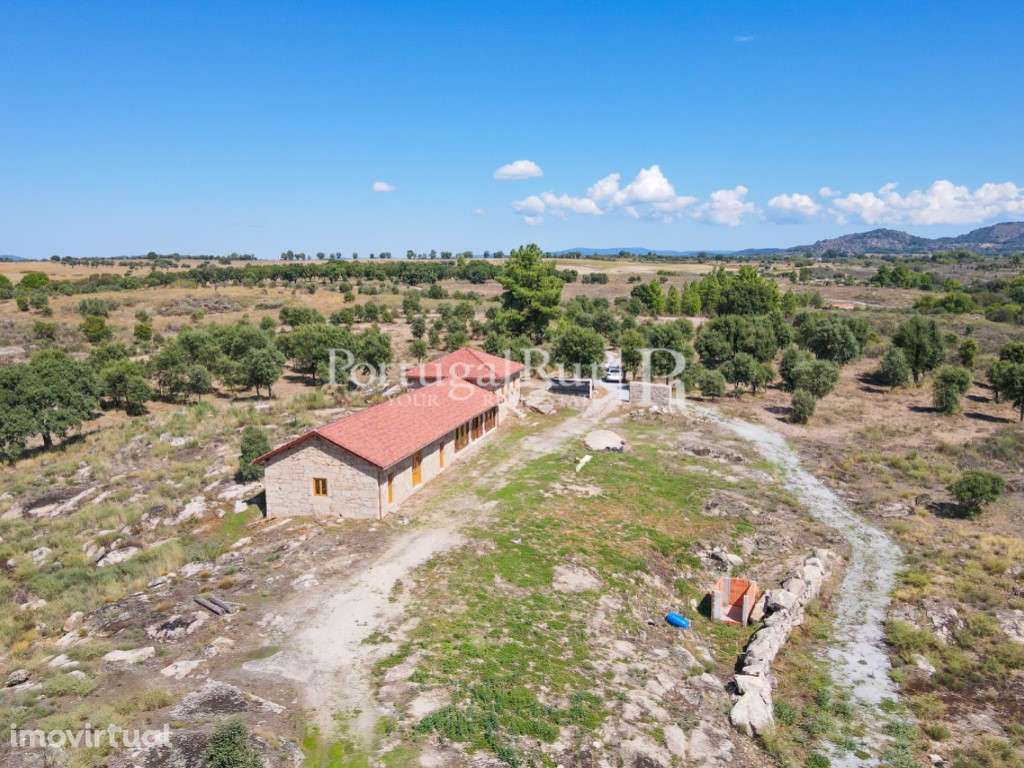Quinta com casa em recuperação em Monsanto - Grande imagem: 5/41