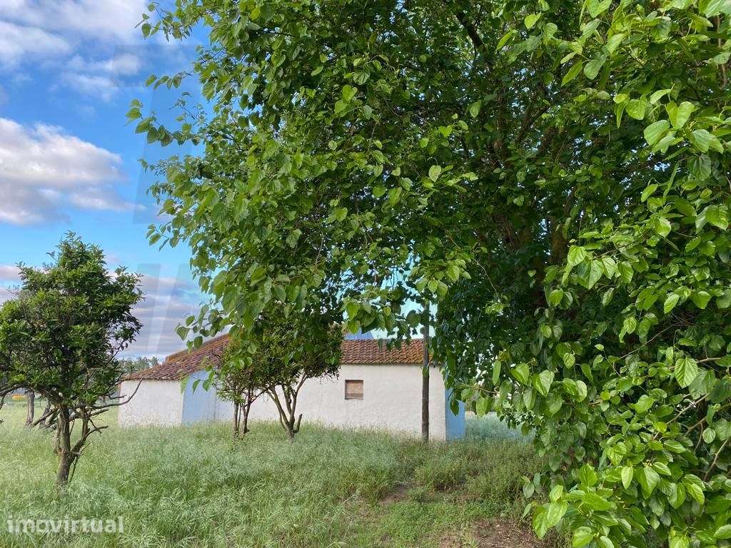 Terreno urbano para loteamento com 10720m2 -Foros de Salvaterra - 2... - Grande imagem: 4/10