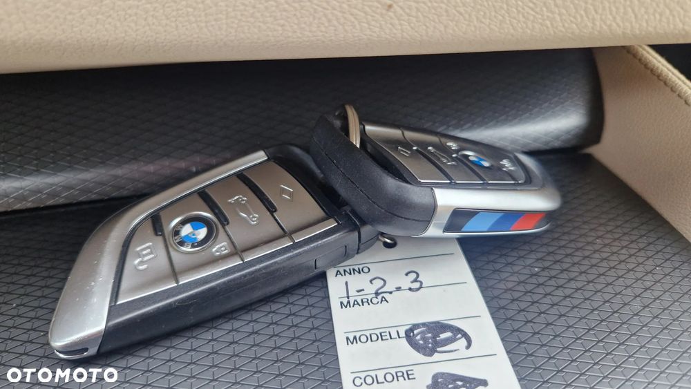 BMW Seria 5 520d MHEV Sport Line sport - 20