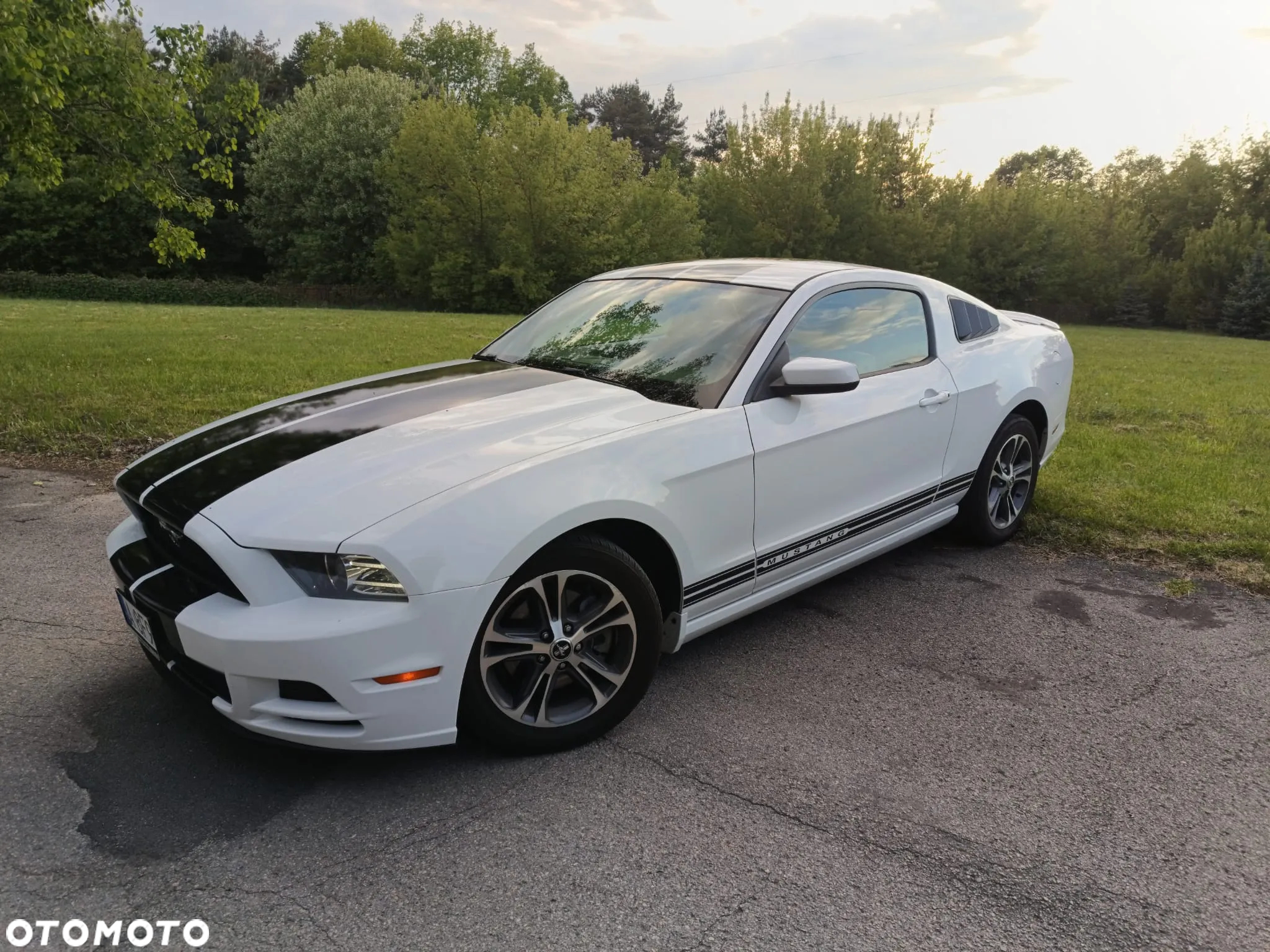 Ford Mustang 3.7 V6 Premium - 16