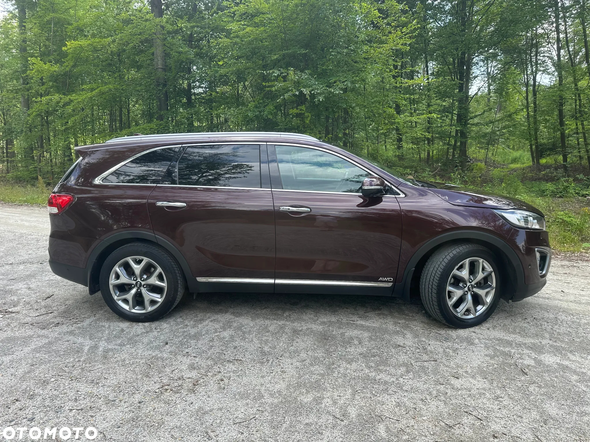 Kia Sorento 2.0 CRDI Business Line Plus - 3