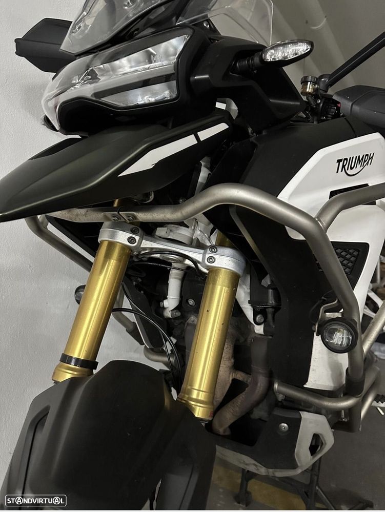 Triumph Tiger Rally Explorer - 4