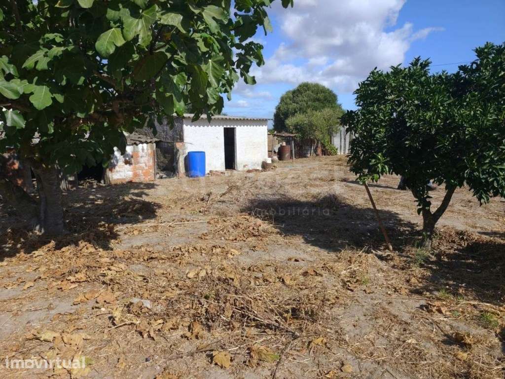 Terreno Urbano em Figueira dos Cavaleiros - Ferreira do Alentejo - Grande imagem: 3/12