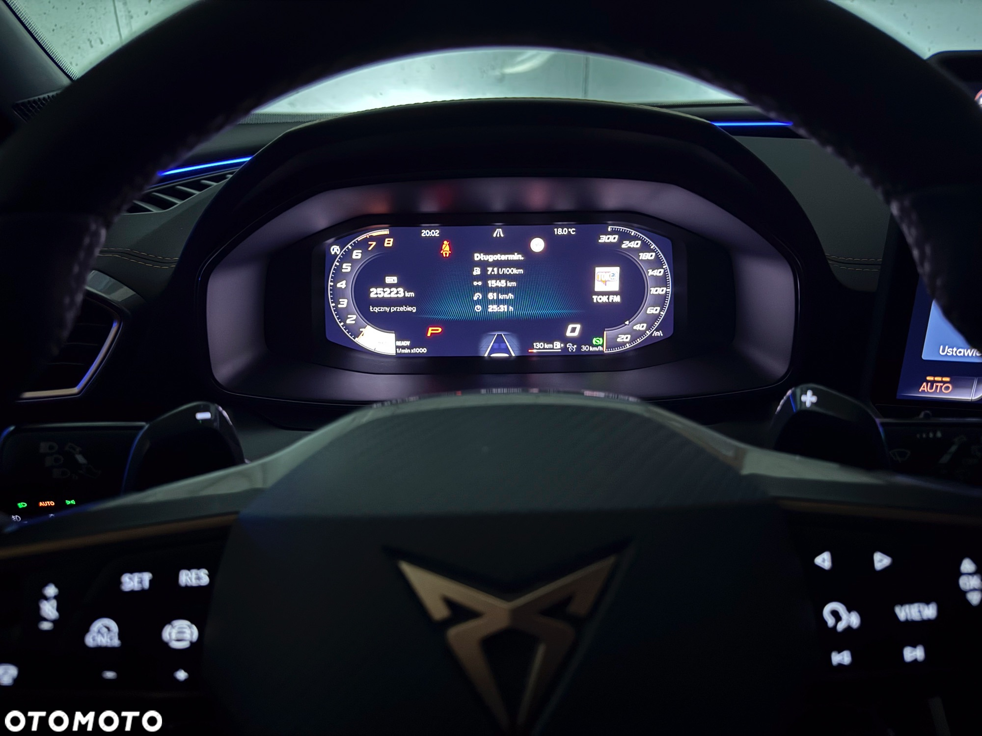 Cupra Formentor 1.5 TSI DSG - 15