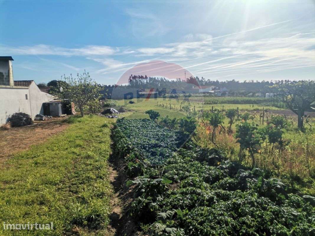 Terreno  para venda - Grande imagem: 4/7