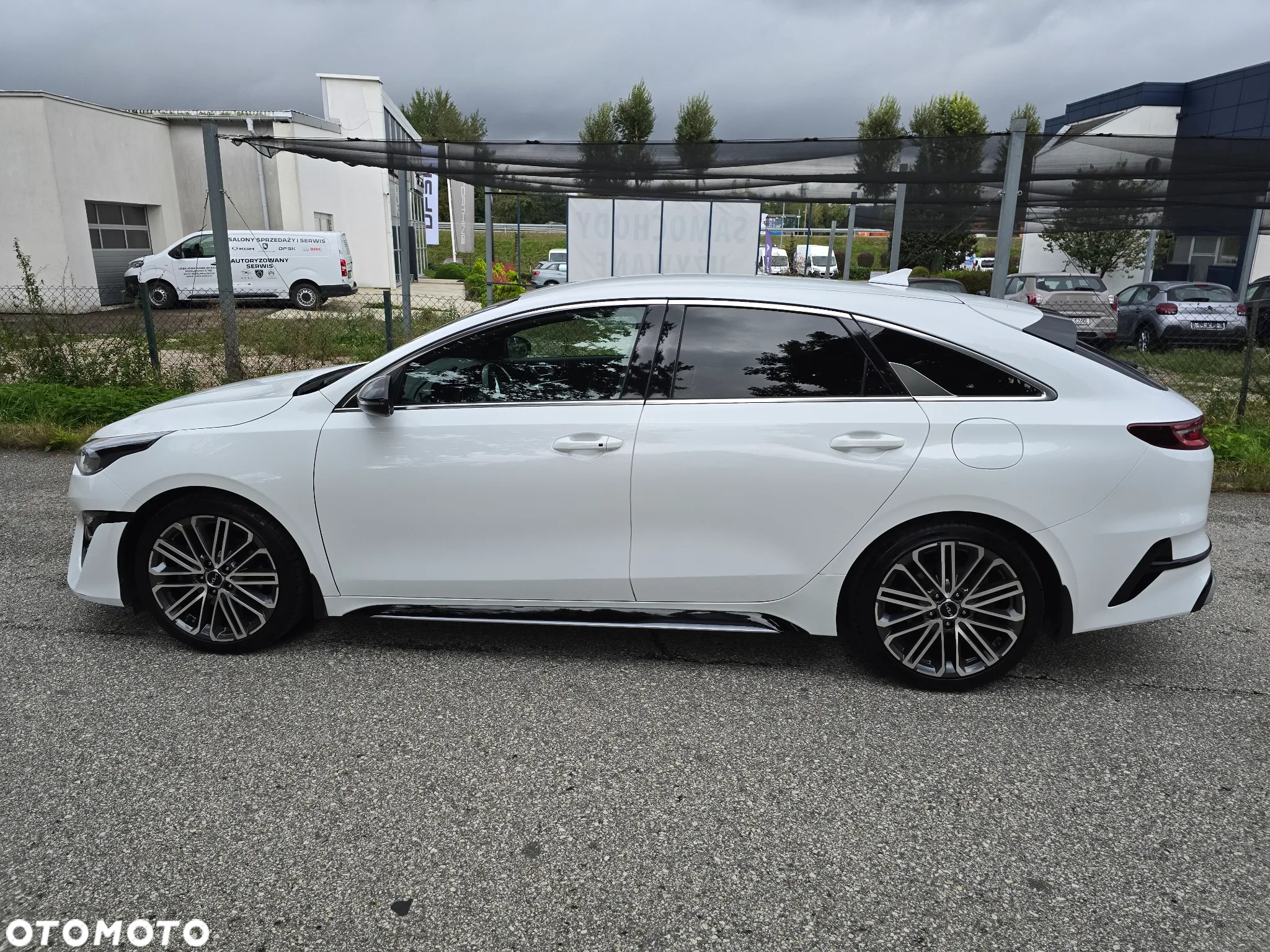 Kia ProCeed 1.5 T-GDI GT Line DCT - 5