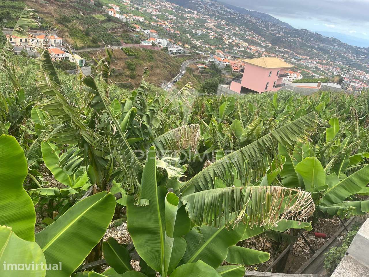 Terreno com 850m2 em Câmara de Lobos com vista Fabulosa - Grande imagem: 4/4