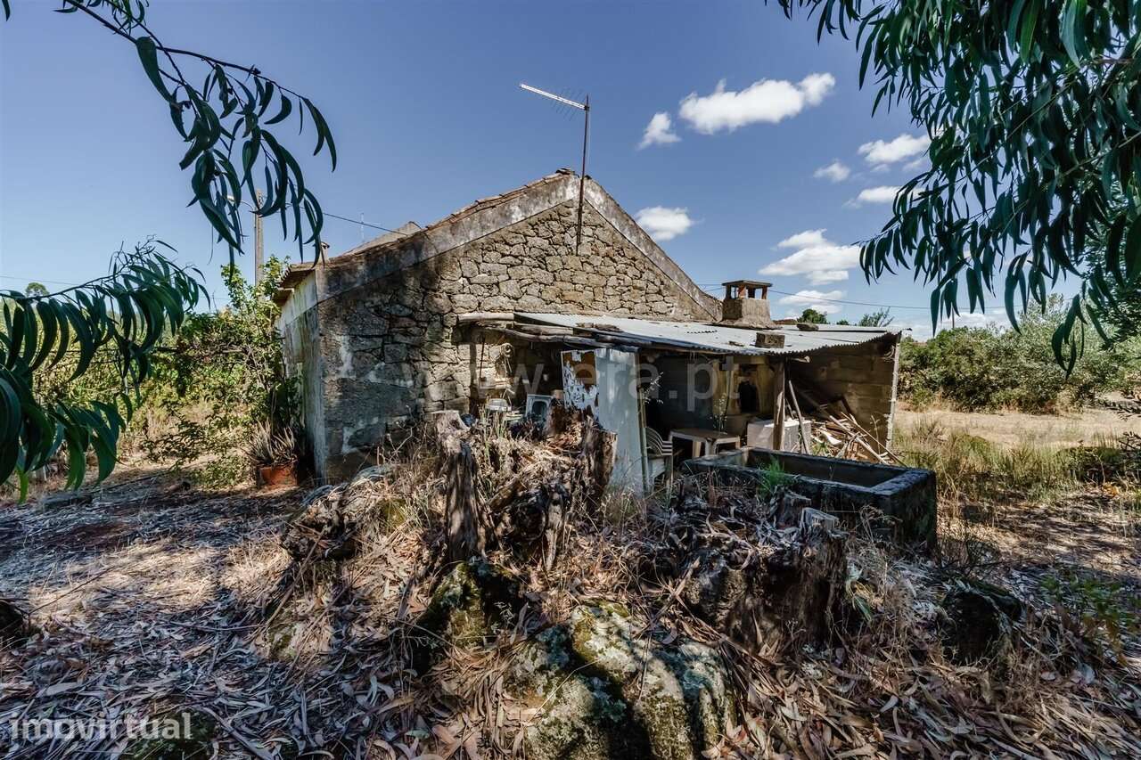 Terreno com ruina / Fundão, Quintas da Torre - Grande imagem: 3/20