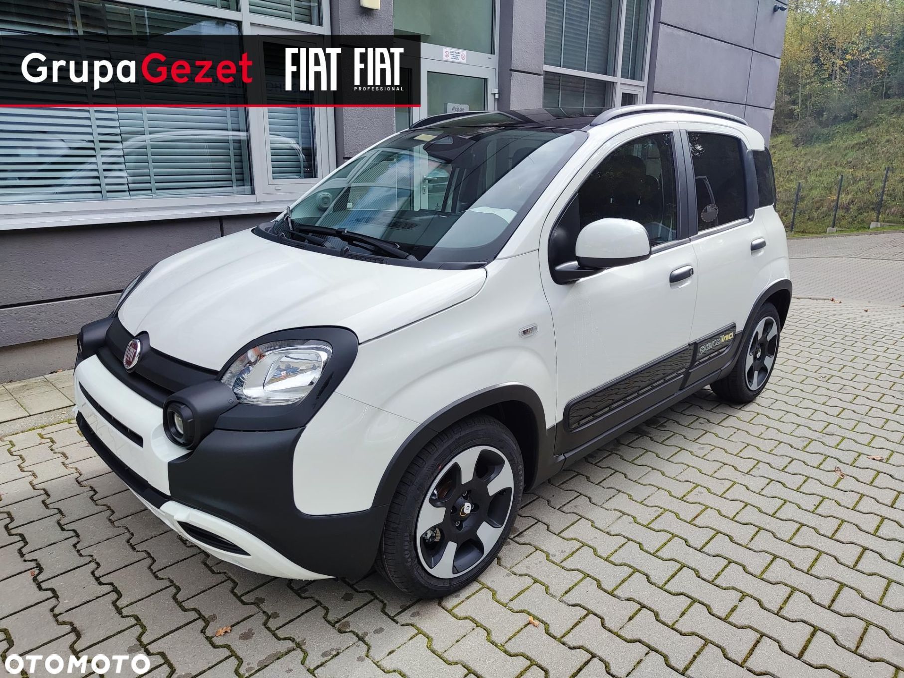 Fiat Panda - 1
