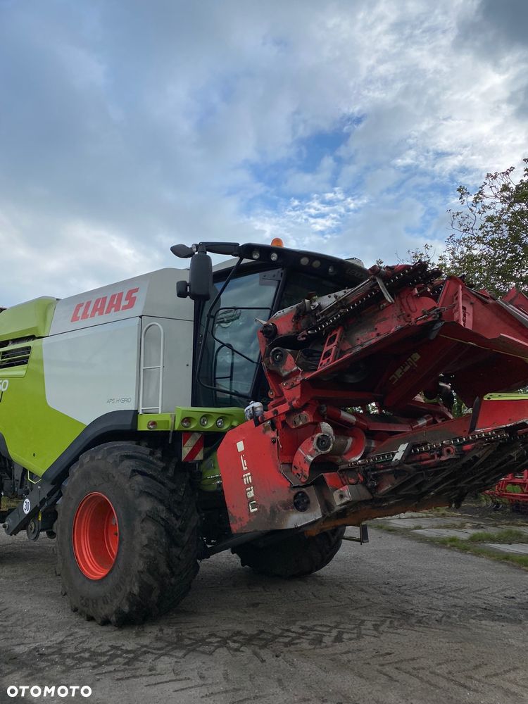 Olimac Drago 8 - 1