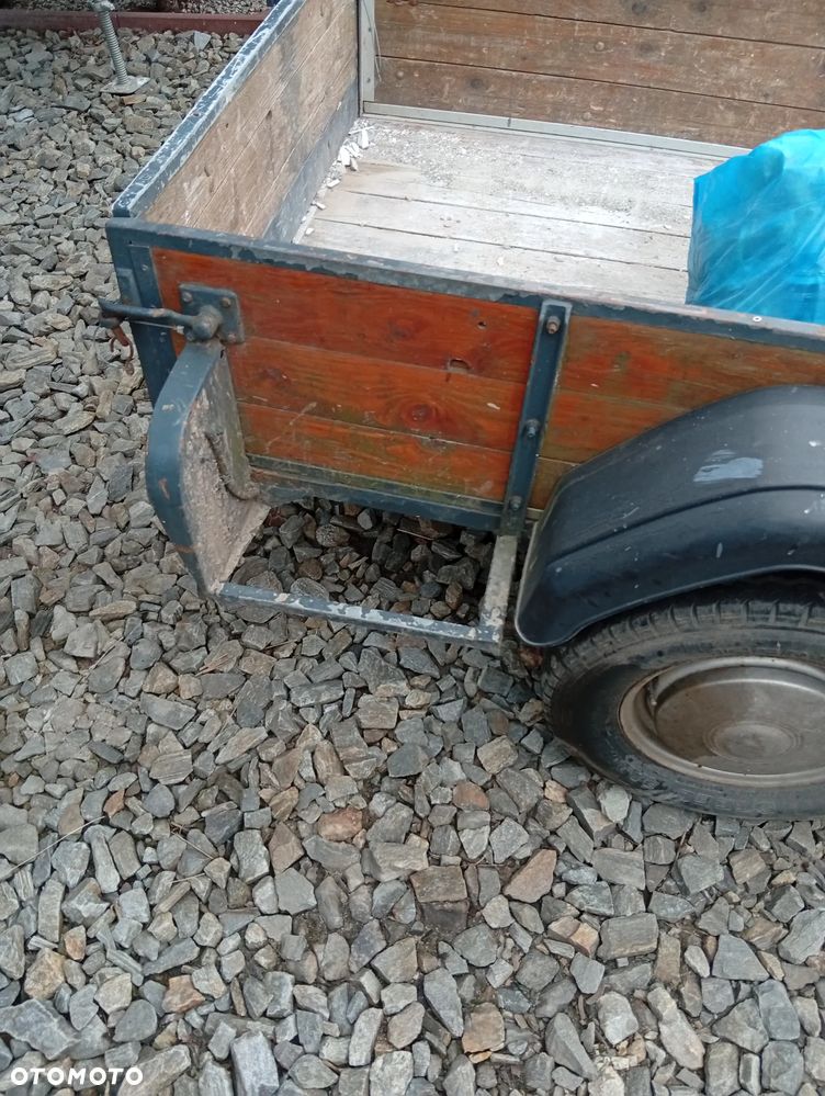 Wilex - 2