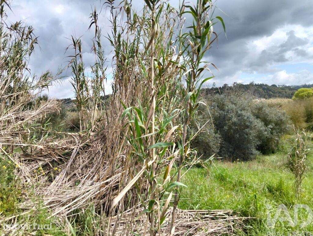 Terreno em Outeiro da Cortiçada e Arruda dos Pisões de 1540,00 m2 - Grande imagem: 3/24