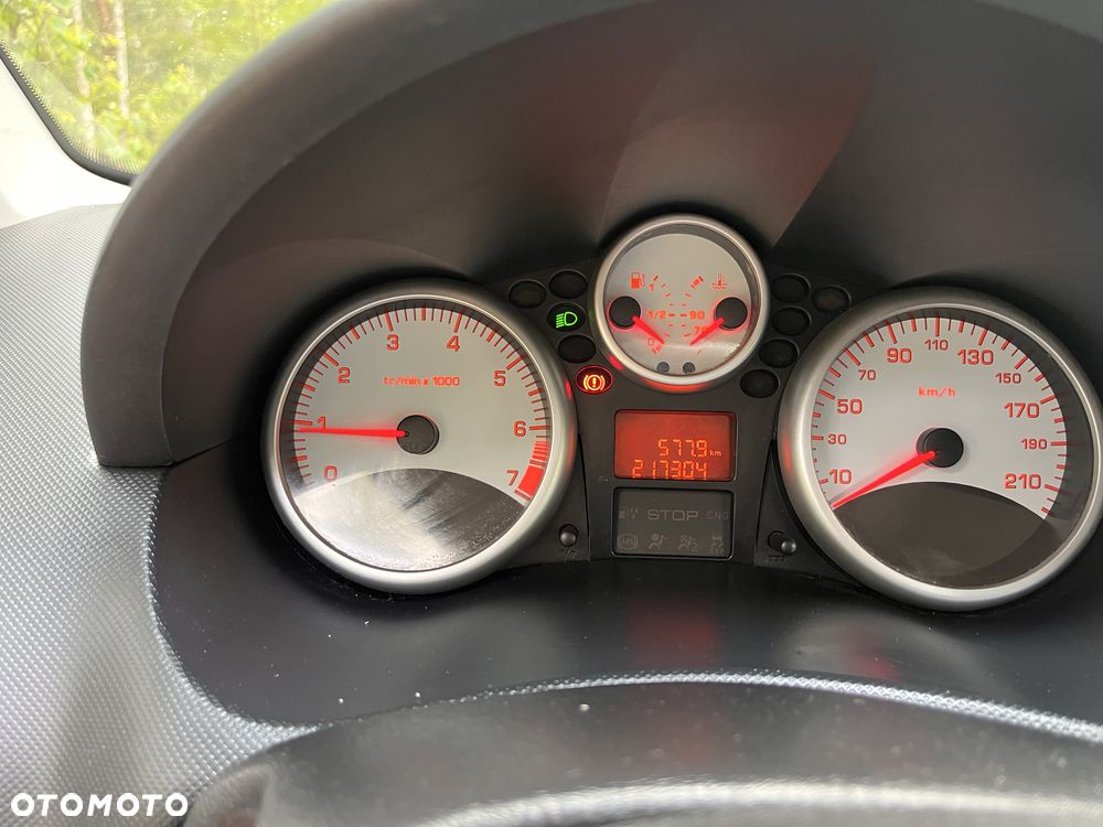 Peugeot 206 plus - 8