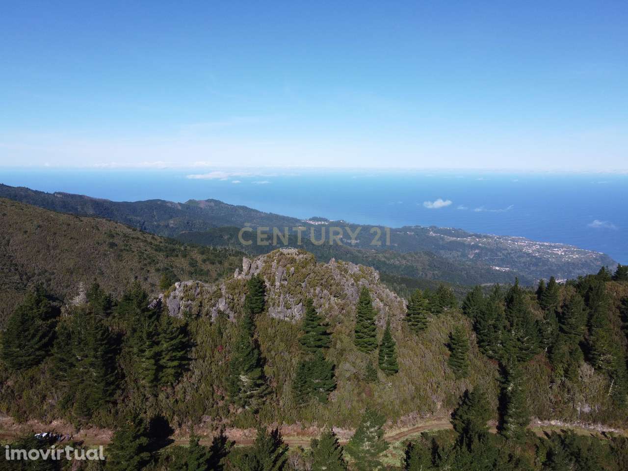 Terreno Laurissilva - Santana - Grande imagem: 3/15