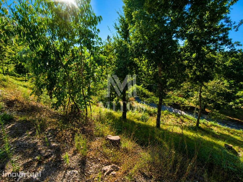 Terreno de construção para venda em Tregosa - Barcelos - Grande imagem: 4/13