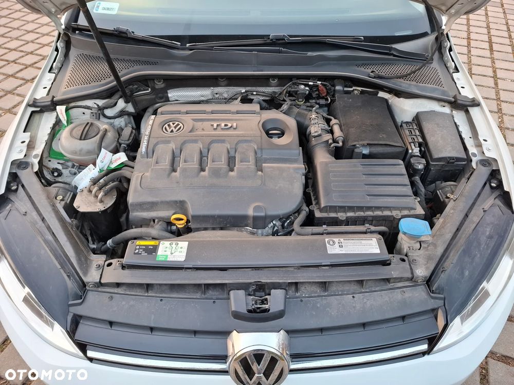 Volkswagen Golf 1.6 TDI BlueMotion Technology Lounge - 15