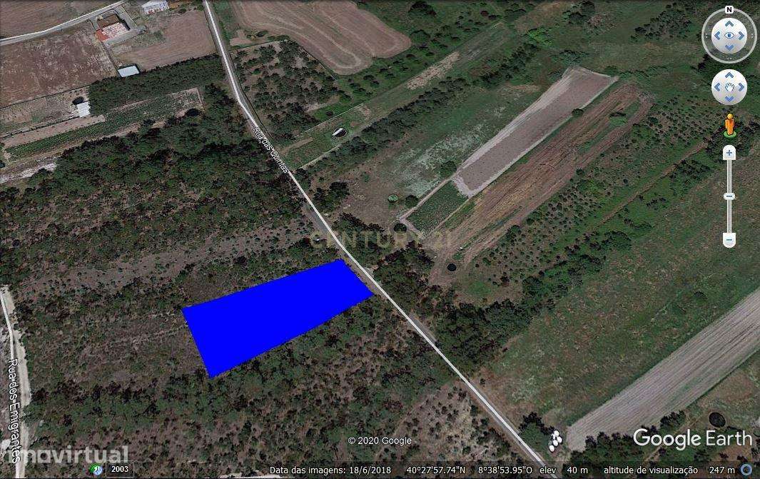 Terreno em Vagos com 770m² - Oportunidade Única! - Grande imagem: 5/5