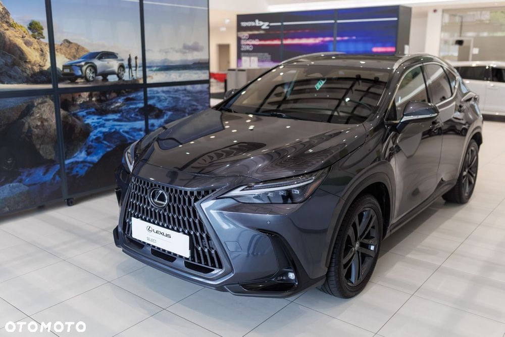 Lexus NX - 16