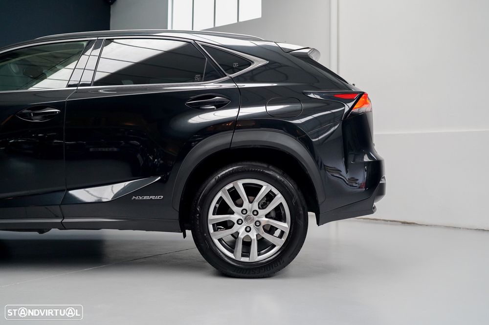 Lexus NX 300h Executive Plus 4WD - 19
