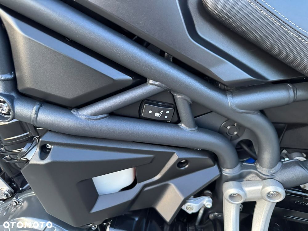 Triumph Tiger - 19