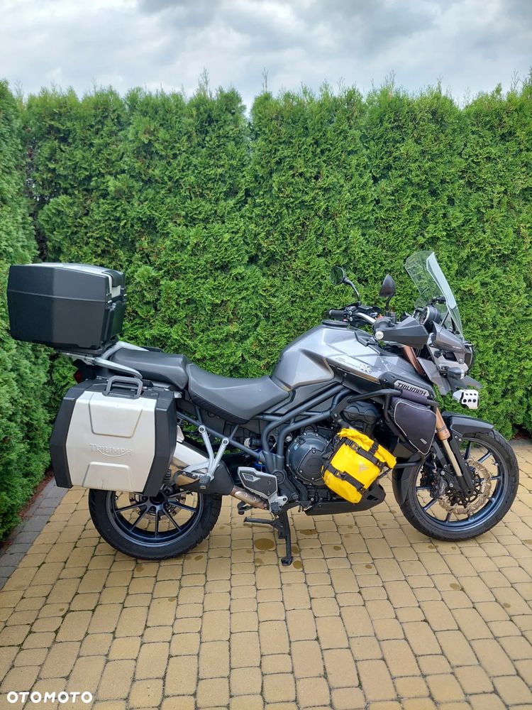 Triumph Tiger - 2