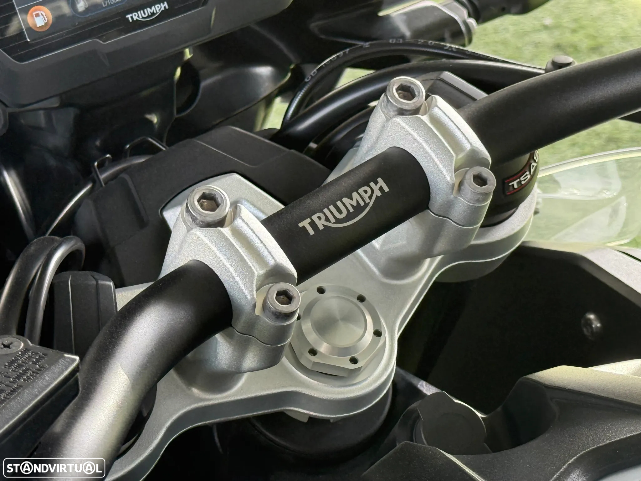 Triumph Tiger 1200 ALPINE EDITION - 18