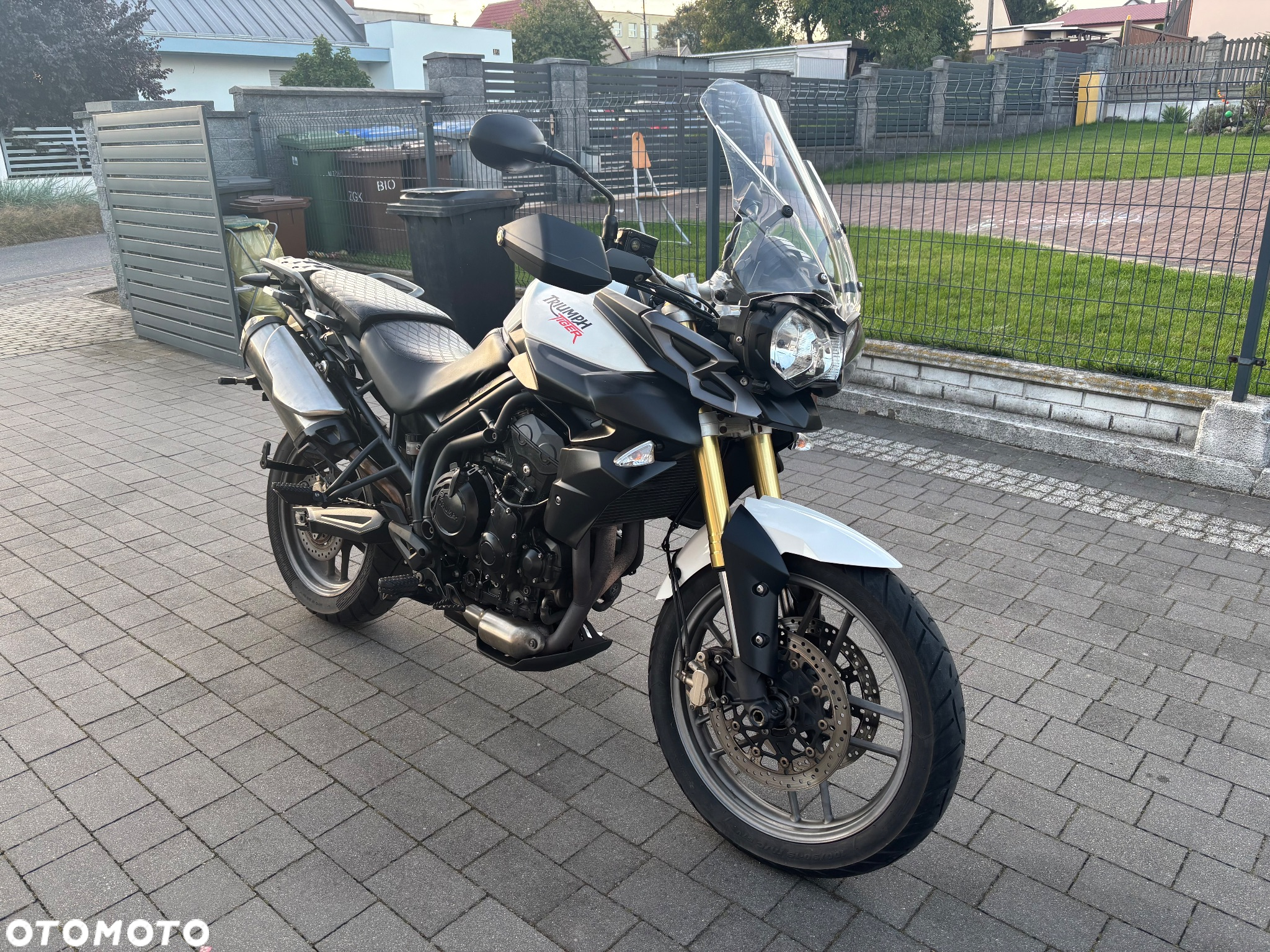 Triumph Tiger - 30