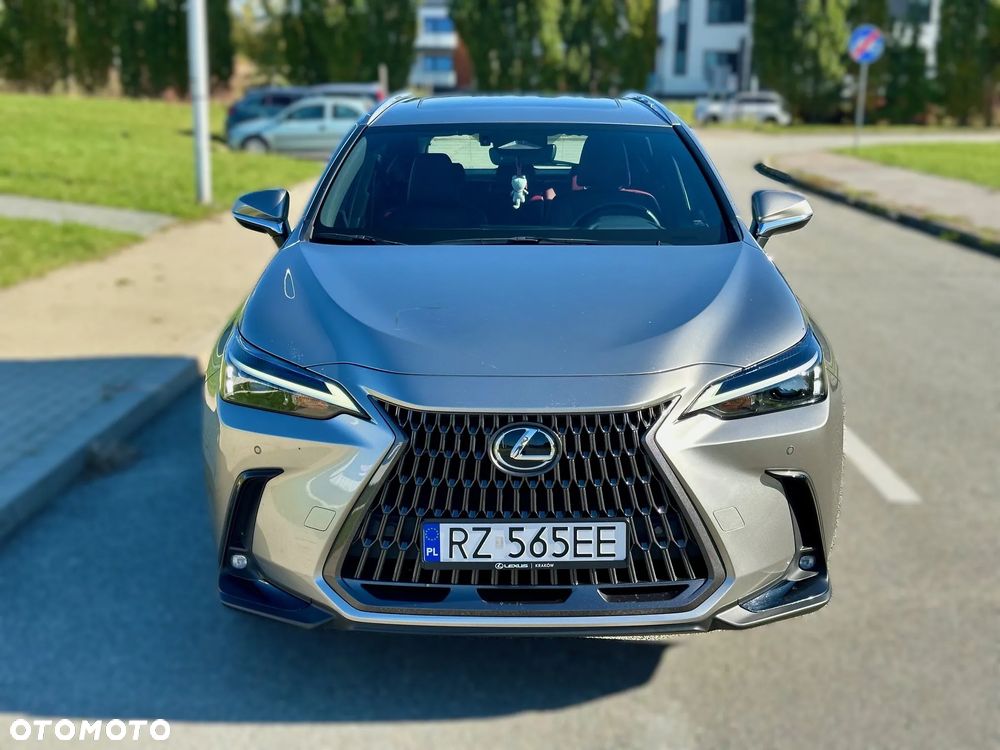 Lexus NX - 7