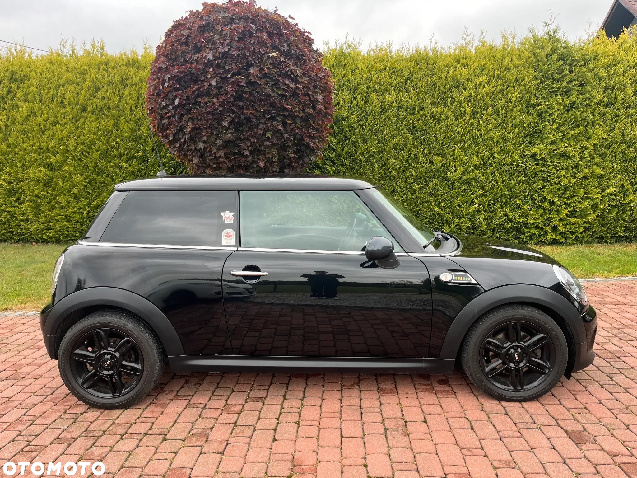 MINI ONE Standard - 6