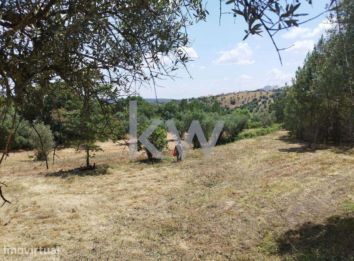 Terreno em Montargil com projecto de moradia - Grande imagem: 3/17