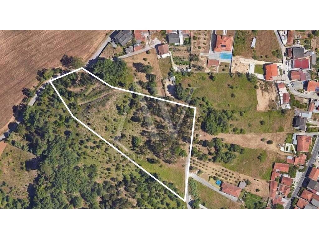 Terreno de 12.882 m2 Brogal, Parceiros, Leiria - Grande imagem: 2/8