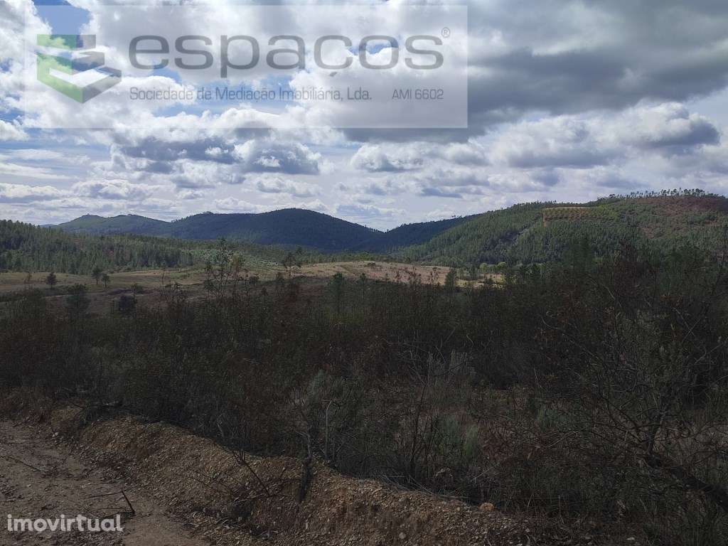 Terreno rústico - Martim Branco - Grande imagem: 4/9