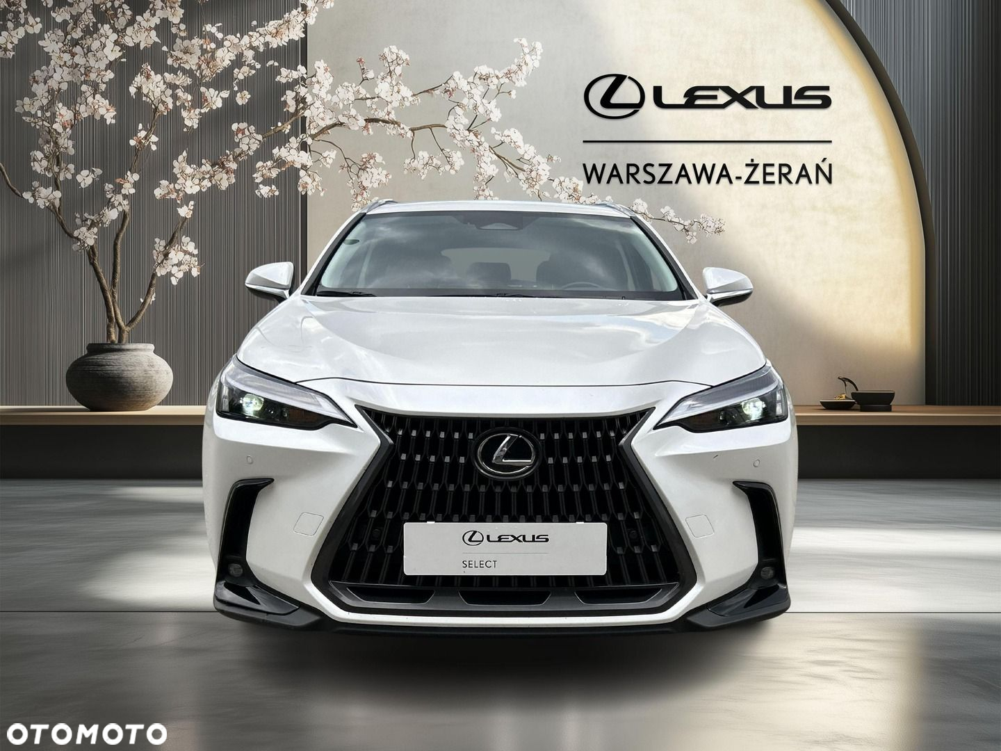 Lexus NX - 10