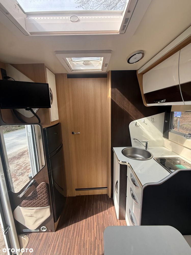 McLOUIS Yearling i61g - 19