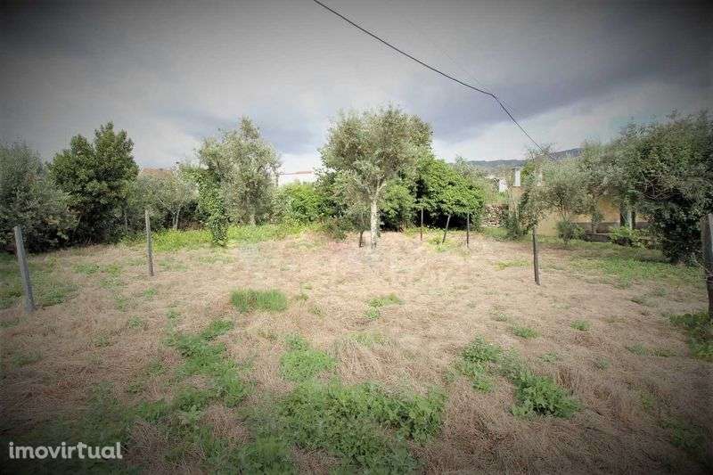 Casinhas de pedra e quintal em Paços da Serra (Serra da Estrela) - Grande imagem: 2/7