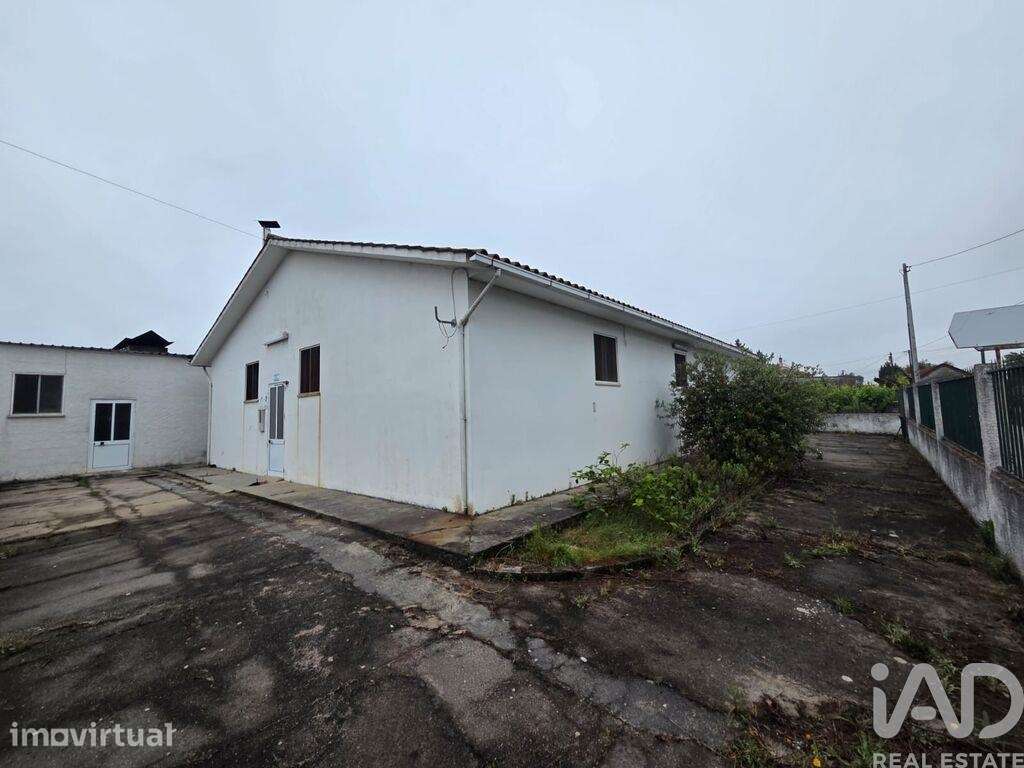 Loja / Estabelecimento Comercial em Ovoa e Vimieiro de 1,00 m2 - Grande imagem: 3/22