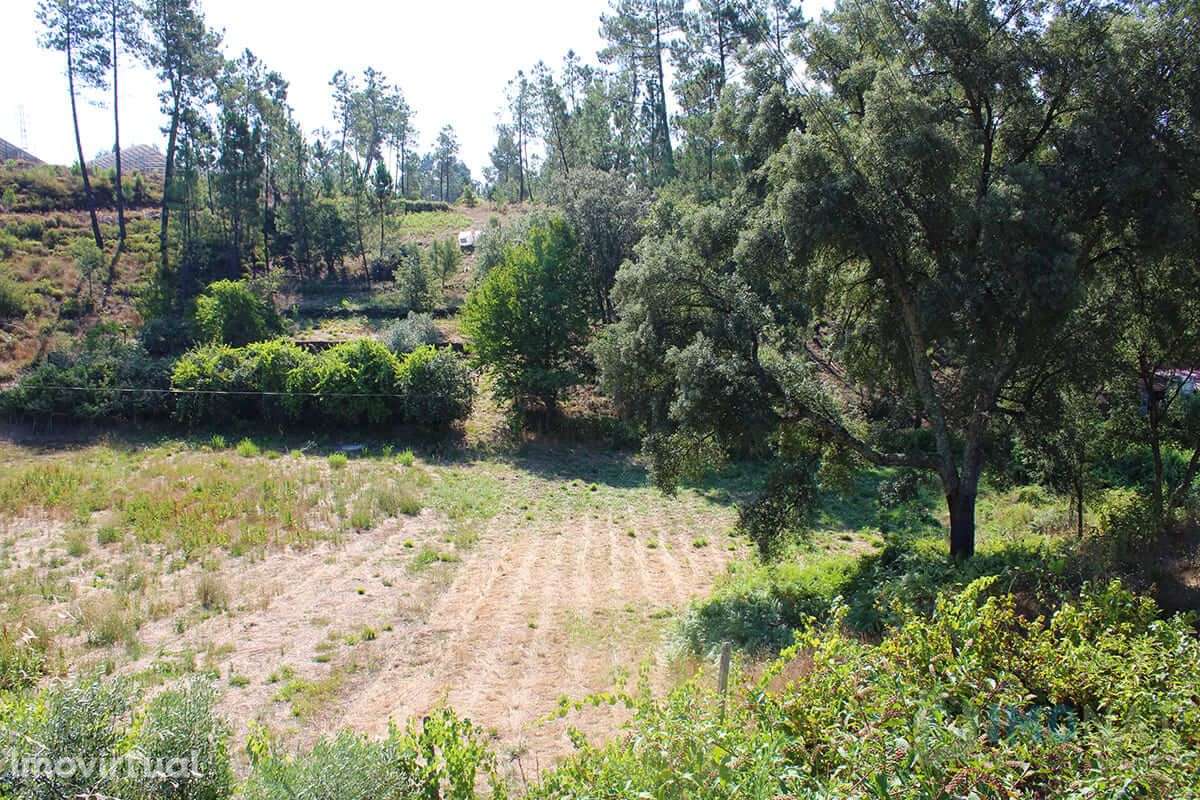 Lote de Terreno - Grande imagem: 2/15