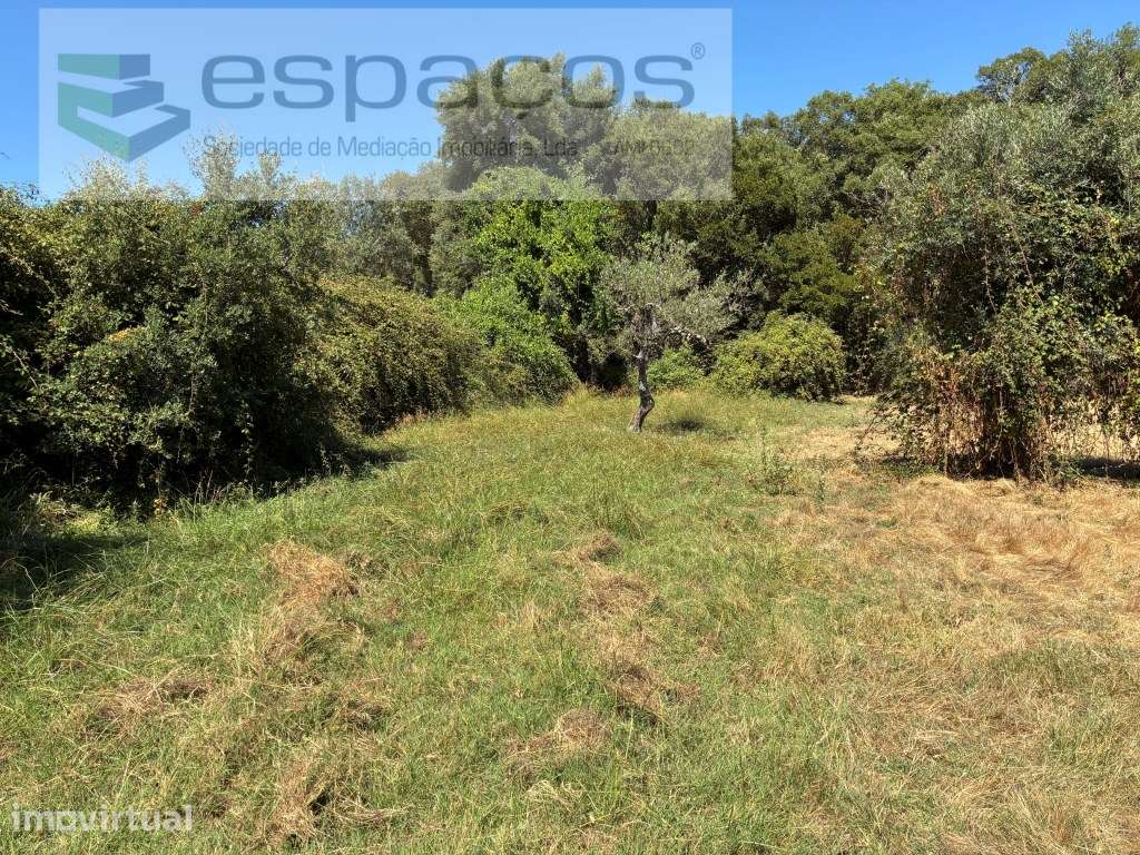 Terreno Plano com Poço - Grande imagem: 4/9