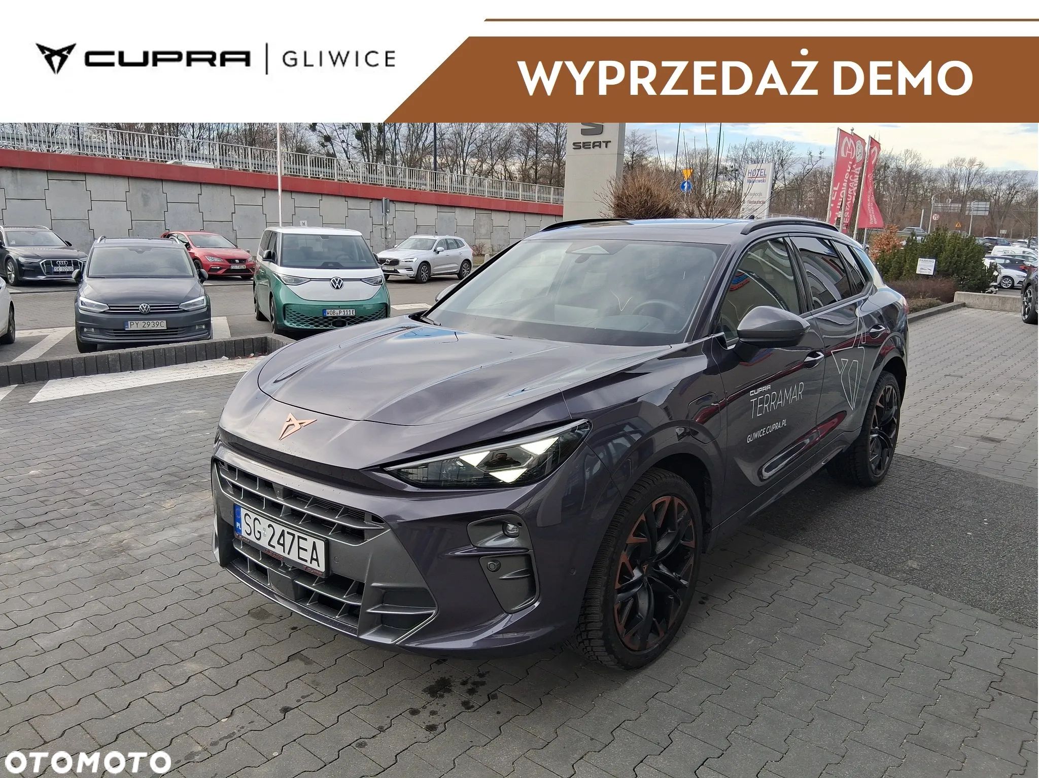 Cupra Terramar - 1