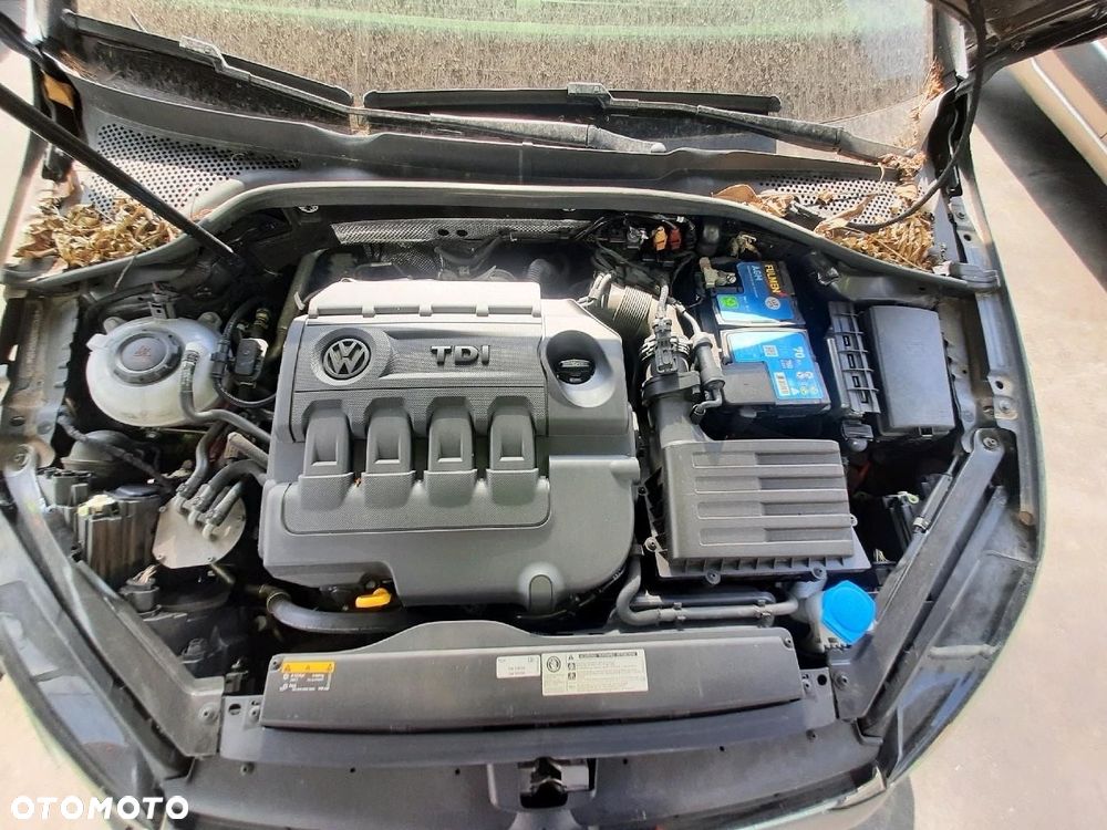 Volkswagen Golf - 13