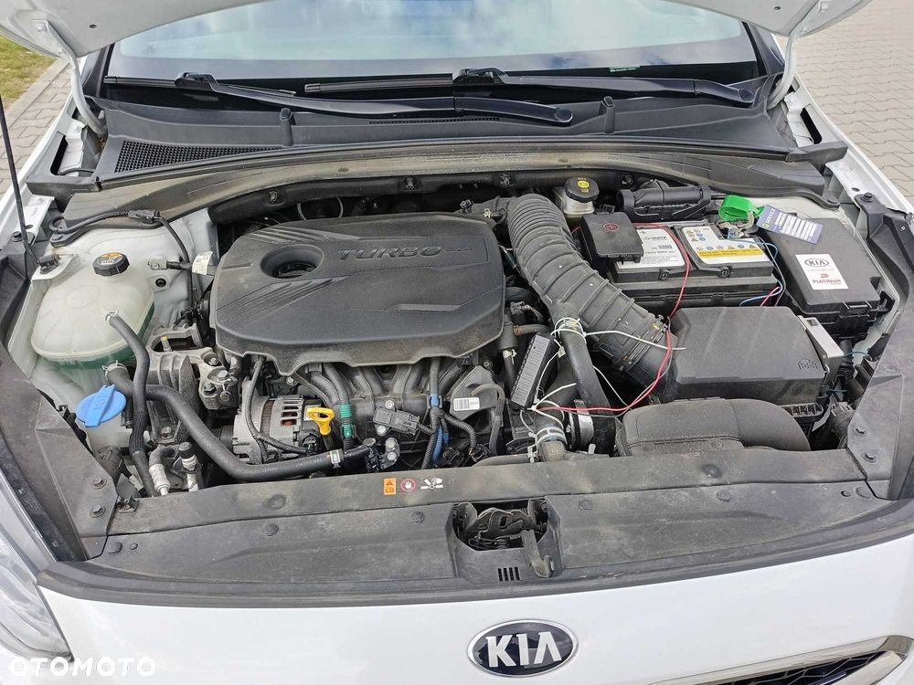 Kia ProCeed - 5