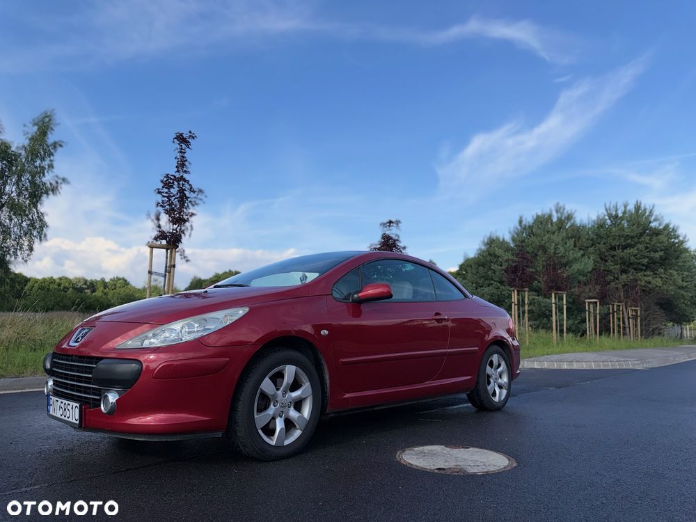 Peugeot 307 - 5